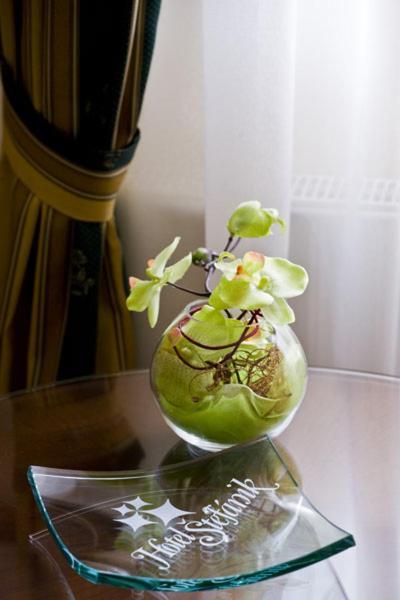 Hotel Stefanik มิยาวา ภายนอก รูปภาพ